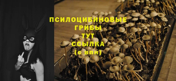 спайс Аркадак