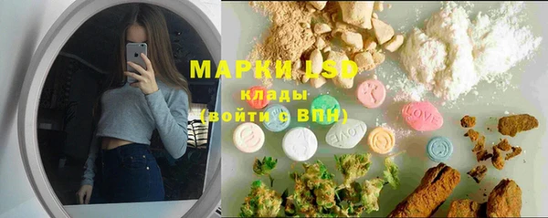 спайс Аркадак